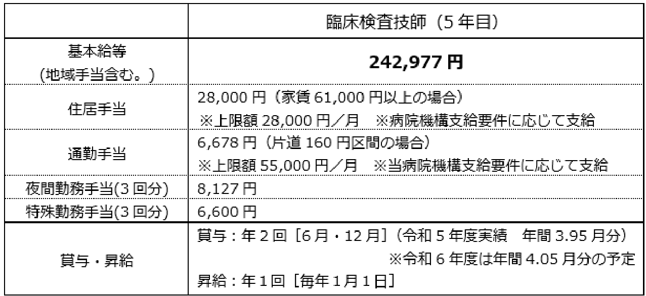給与の表画像5年