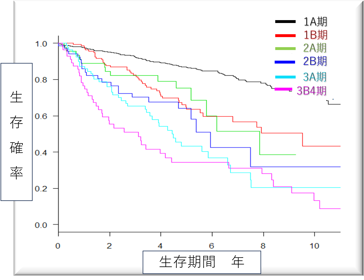 呼吸器外科治療実績